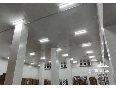 長(zhǎng)沙洽洽5000立方食品堅(jiān)果原料加工冷庫(kù)工程建造方案