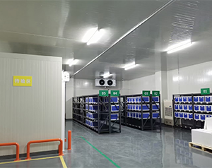 gsp醫(yī)藥冷庫2-8度冷鏈試劑庫房定制，面積要求建造多大面積