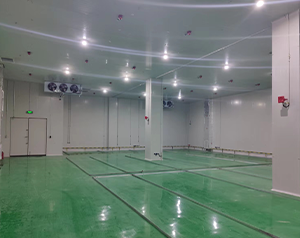 危險品冷庫建設(shè)標準與要求
