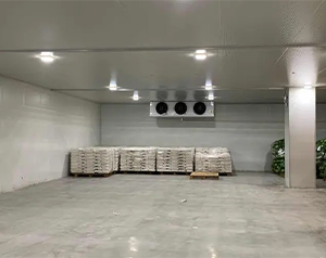 安裝一個(gè)1000平米食品冷庫(kù)（冷藏室）需要多少錢？