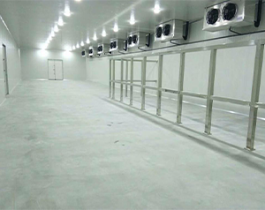 1000噸南美白蝦-18℃冷凍庫建造設(shè)備安裝大概需要多少錢？