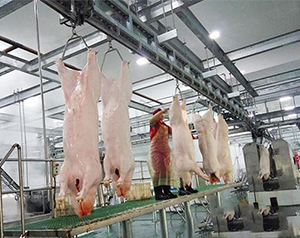 豬肉加工廠冷庫如何進(jìn)行設(shè)計(jì)建造？