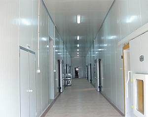 企業(yè)建造冷庫(kù)大概需要多少預(yù)算多少錢(qián)？是否要建造冷庫(kù)