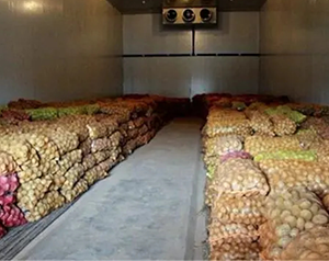 安徽小型食品冷庫造價(jià)多少錢一噸？