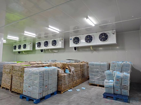 大型工業(yè)藥品冷庫建設安裝價格大概多少錢？