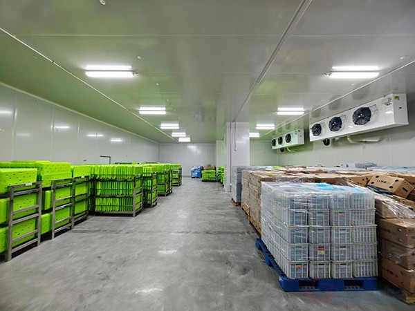 大型工業(yè)藥品冷庫建設安裝價格大概多少錢？