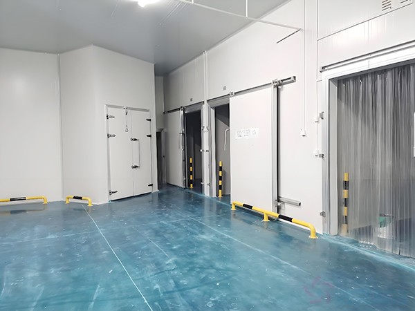 上海奶制品廠牛奶冷庫(kù)建造