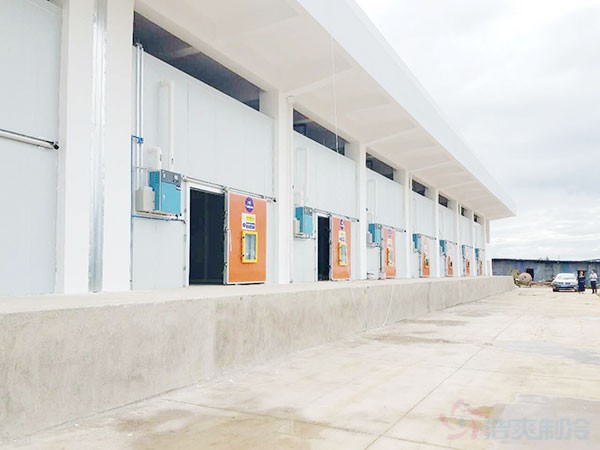 湖南果蔬周轉(zhuǎn)冷庫建造施工