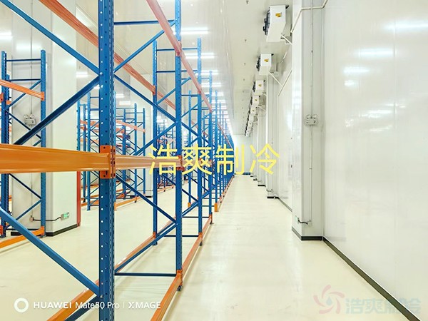 河北2-8℃醫(yī)藥標(biāo)準(zhǔn)冷庫(kù)設(shè)計(jì)多少錢(qián)？