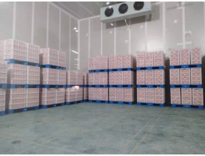 湖州練美農業(yè)果蔬產地型氣調冷庫建造工程案例