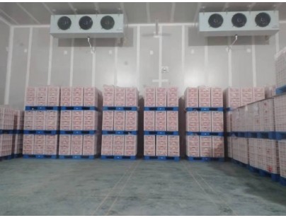 湖州練美農業(yè)果蔬產地型氣調冷庫建造工程案例