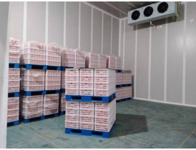 湖州練美農業(yè)果蔬產地型氣調冷庫建造工程案例