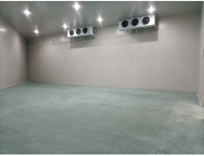 湖州練美農業(yè)果蔬產地型氣調冷庫建造工程案例