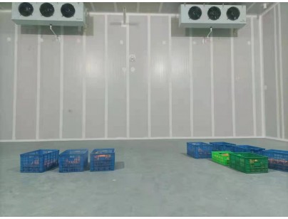 湖州練美農業(yè)果蔬產地型氣調冷庫建造工程案例