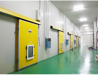 湖州練美農業(yè)果蔬產地型氣調冷庫建造工程案例