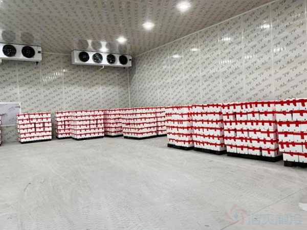 保鮮冷庫(kù)建設(shè)